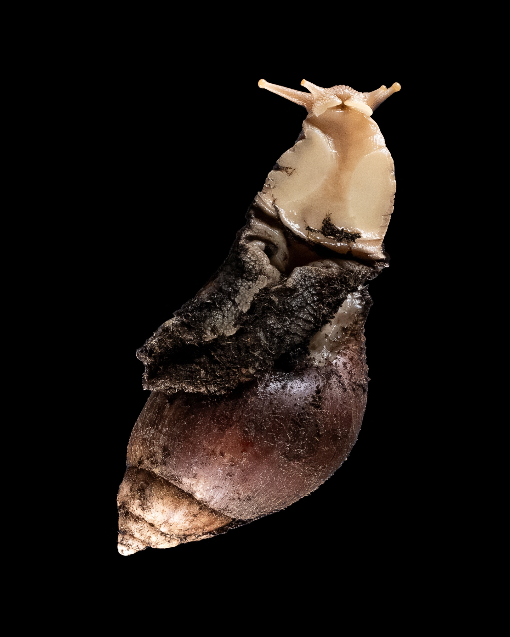 Спиро